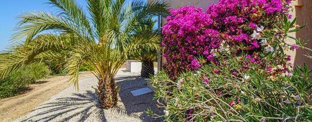 Mediterraner Garten