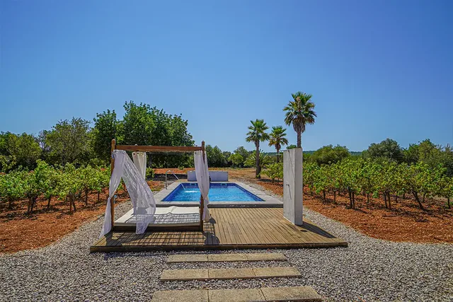 Pool mit Daybed der Finca Mia Limon in Algaida